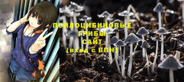 эйфоретик Армянск