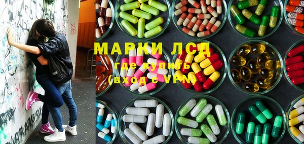 герыч Арсеньев