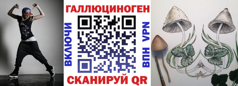 наркотики Нововоронеж KRAKEN tor Галлюциногенные грибы Psilocybine cubensis