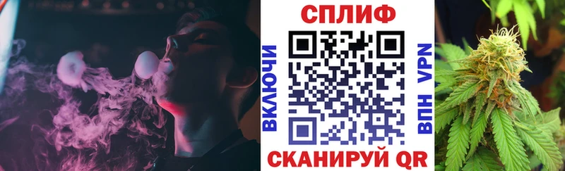 площадка клад где можно купить Нововоронеж Конопля LSD WEED